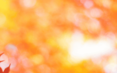 Shiatsu und der Herbst