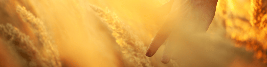 Spaetsommer und Shiatsu