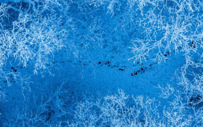 Das Element Wasser und Stress